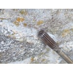 MFS25A MFS30A  - EMBASE 25 - 30 CV 4T TOHATSU