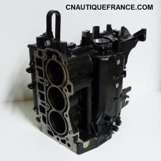CARTER BLOC MOTEUR 40CV 4T MERCURY 850082