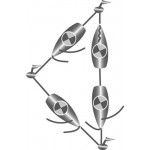 COMPAS TACTIQUE CONTEST