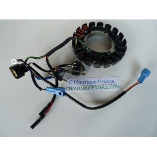 DF25 - STATOR 25 CV 4T SUZUKI  95J