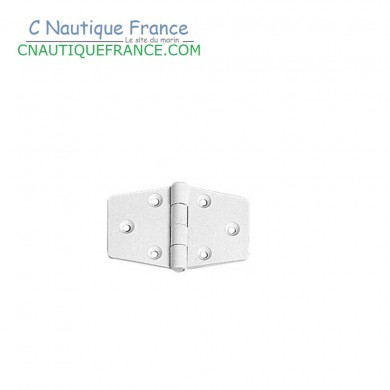 65 x 40 mm Charnière blanche en nylon