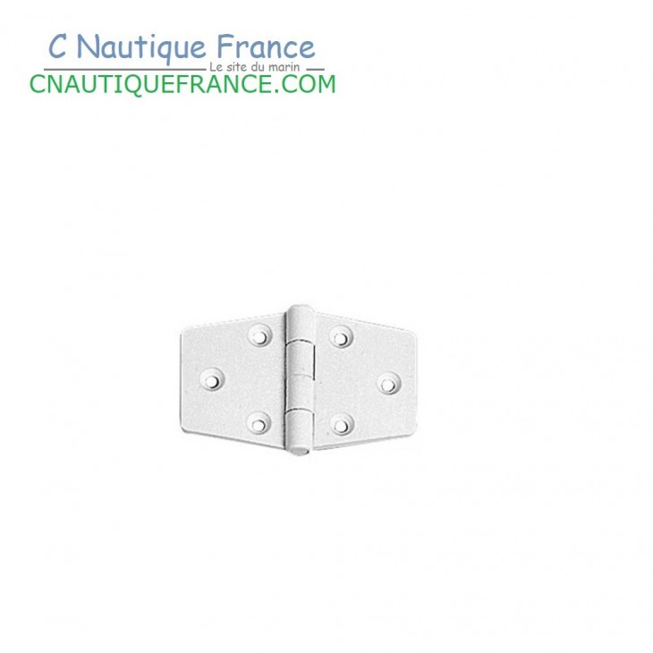 65 x 40 mm Charnière blanche en nylon