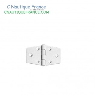 65 x 40 mm Charnière blanche en nylon