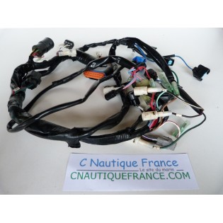 MFS30B - FAISCEAU ELECTRIQUE 30 CV 4T TOHATSU