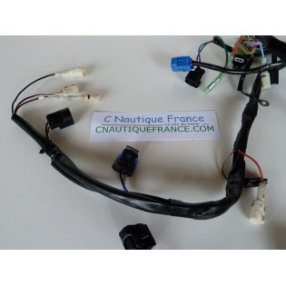 MFS30B - FAISCEAU ELECTRIQUE 30 CV 4T TOHATSU