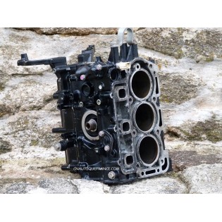 25 - 30 CV EFI - BLOC MOTEUR 25 - 30 CV 4T TOHATSU MERCURY