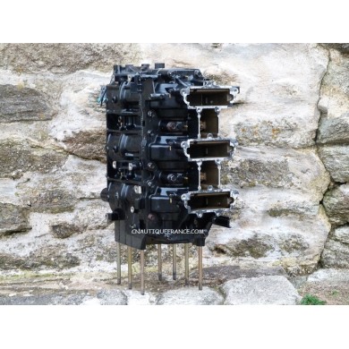 CYLINDER BLOCK 90 HP 2S MERCURY OPTIMAX 2007