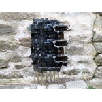 CARTER BLOC MOTEUR 90 CV 2T MERCURY 809-878581-C02