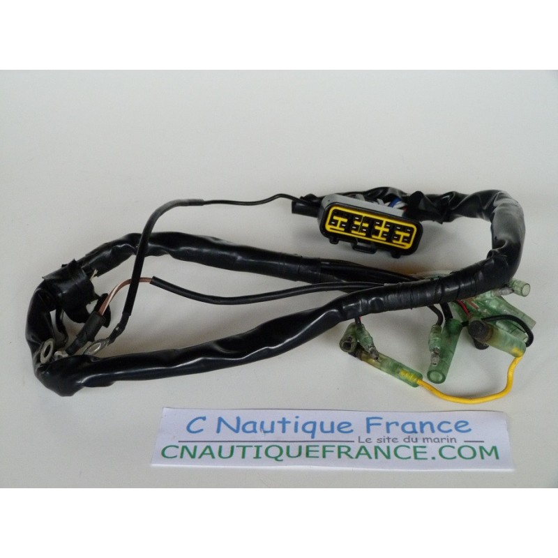 MFS9.9C MFS20C - FAISCEAU ELECTRIQUE TOHATSU