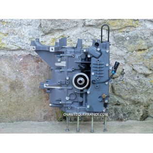 BLOC MOTEUR 30 - 40 CV 4T YAMAHA F30 F40 67C