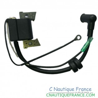 INGITION COIL CDI FOR F4 F5 F6 YAMAHA PARSUN OUTBOARD MOTOR