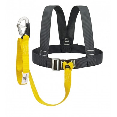 Harness and lanyard kit with 1 carabiner