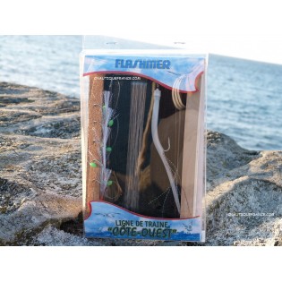 LIGNE DE TRAÎNE CÔTE-OUEST