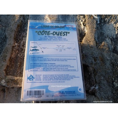 Linea da traina Costa Ovest