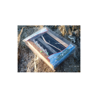 Linea da traina Costa Ovest