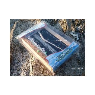 Linea da traina Costa Ovest