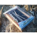 Linea da traina Costa Ovest