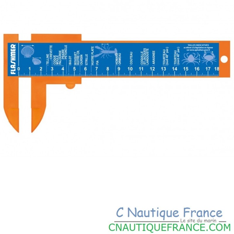 RIGHELLO PER MISURARE CONCHIGLIE E CROSTACEI