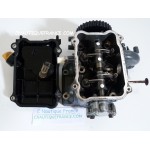 BF10D DELLA TESTATA 10 CV 4T HONDA ZW9