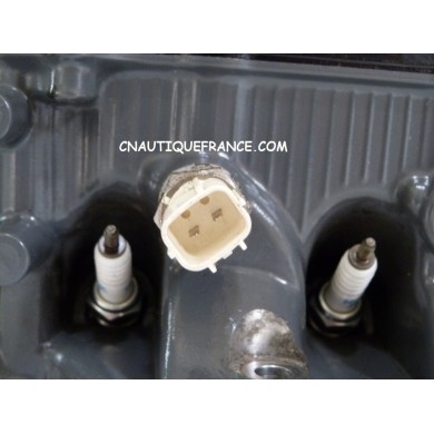 BF10D DELLA TESTATA 10 CV 4T HONDA ZW9