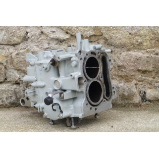 9.9 - 15 HP 4S - CYLINDER BLOCK JOHNSON EVINRUDE SUZUKI DF9.9 DF15