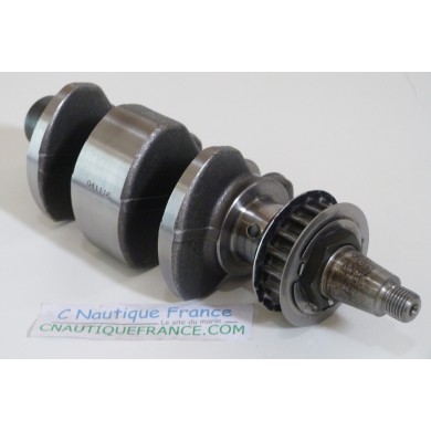 9.9 - 15 CV 4T ALBERO A GOMITI JOHNSON EVINRUDE 94J - 5036177