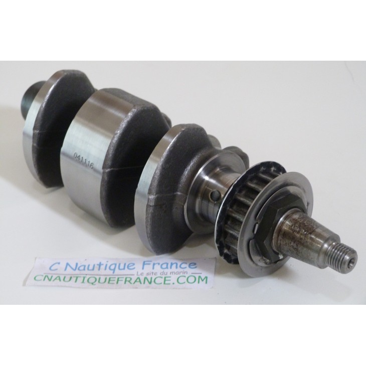 9.9 - 15 CV 4T ALBERO A GOMITI JOHNSON EVINRUDE 94J - 5036177