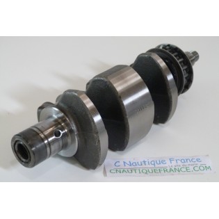 9.9 - 15 CV 4T VILEBREQUIN JOHNSON EVINRUDE 94J - 5036177