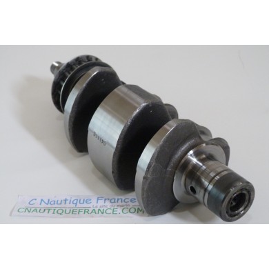 9.9 - 15 HP 4S CRANKSHAFT JOHNSON EVINRUDE 94J - 5036177