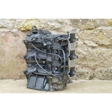 40 - 50 HP 2S CRANKCASE CYLINDER YAMAHA 6H4