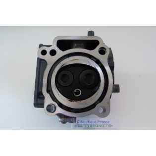 DF25 DELLA TESTATA 25 CV SUZUKI 95J V-TWIN STBD