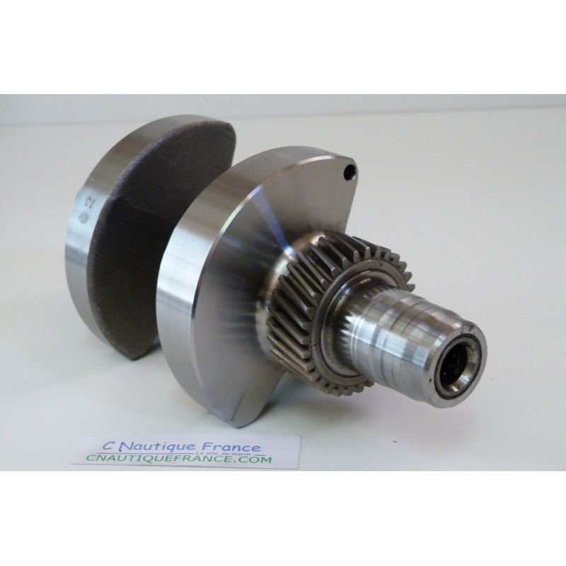 DF25 V-TWIN ALBERO A GOMITI 25 CV 4T SUZUKI 95J