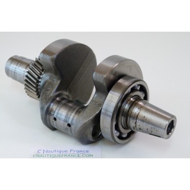 DF25 V-TWIN ALBERO A GOMITI 25 CV 4T SUZUKI 95J