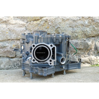 DF25 CRANKCASE 25 HP 4S V2 SUZUKI 95J V-TWIN