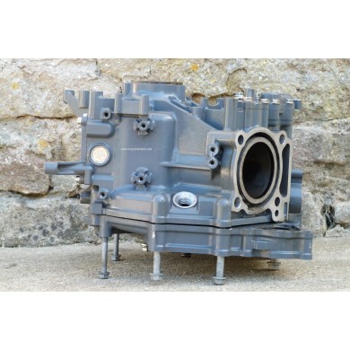 DF25 BLOCCO MOTORE 25 CV 4T V2 SUZUKI 95J V-TWIN