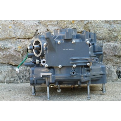 DF25 BLOCCO MOTORE 25 CV 4T V2 SUZUKI 95J V-TWIN