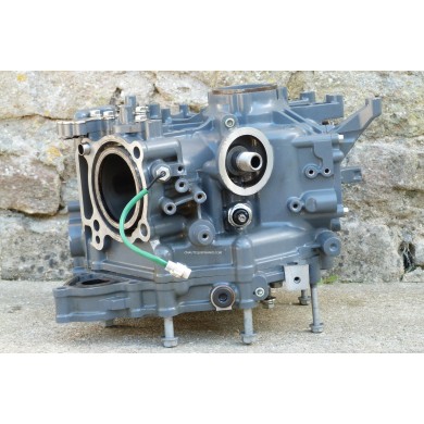 DF25 BLOCCO MOTORE 25 CV 4T V2 SUZUKI 95J V-TWIN