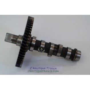 DF25 - CAMSHAFT 25 HP 4S SUZUKI 95J V-TWIN