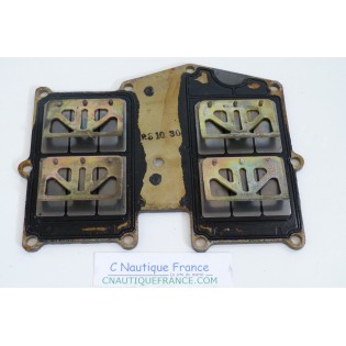 DT40 CLAPETS 40 CV 2T SUZUKI