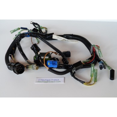 F30 CABLAGGIO ELETTRICO  30 CV YAMAHA 69H 67C-82590-20