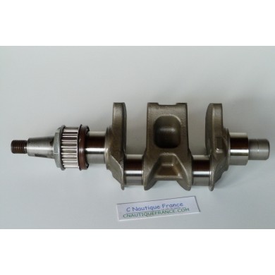 F15 F20 VILEBREQUIN 15 - 20 CV 4T YAMAHA 6AH 6AGK