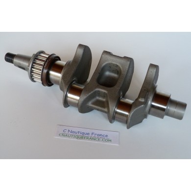 F15 F20 VILEBREQUIN 15 - 20 CV 4T YAMAHA 6AH 6AGK