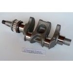 F15 F20 ALBERO A GOMITI 15 - 20 CV 4T YAMAHA 6AH 6AGK