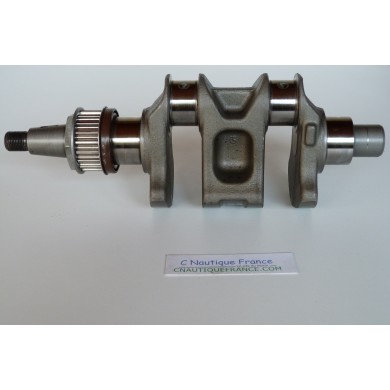 F15 F20 ALBERO A GOMITI 15 - 20 CV 4T YAMAHA 6AH 6AGK