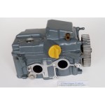 F15 DELLA TESTATA 15 CV 4T YAMAHA 6AH-11111