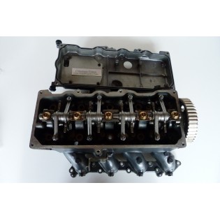 F50 DELLA TESTATA 50 CV 4T YAMAHA 62Y