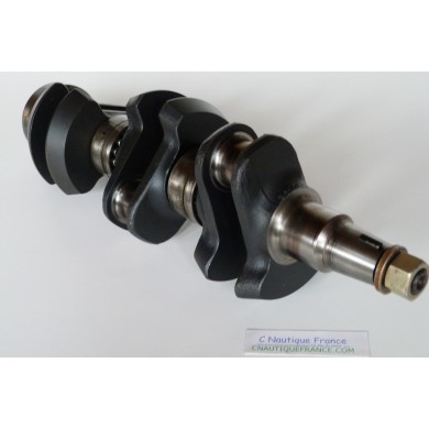 75 - 90 CV ALBERO A GOMITI MERCURY MARINER 858244