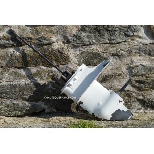 DF9.9 DF15 PIEDE DI MOTORE 9.9 - 15 CV SUZUKI 93E 94J