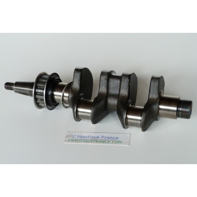 F8 F9.9 VILEBREQUIN 8 - 9.9 CV 4T YAMAHA 6J7 6G8 6G9