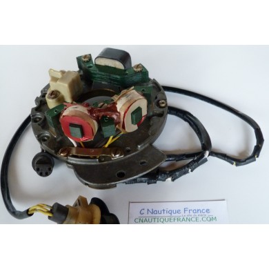 4 - 35 CV 2T STATOR ACCESIONE  JOHNSON EVINRUDE